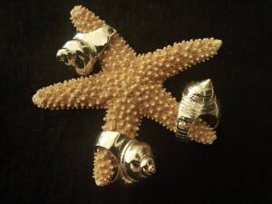 Nautilus Rings 3 large $420